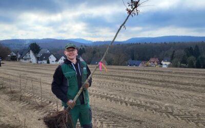 Pflanzarbeiten am Barthold Park