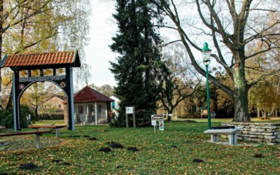Geschichte der Straßenbahn in Lippe